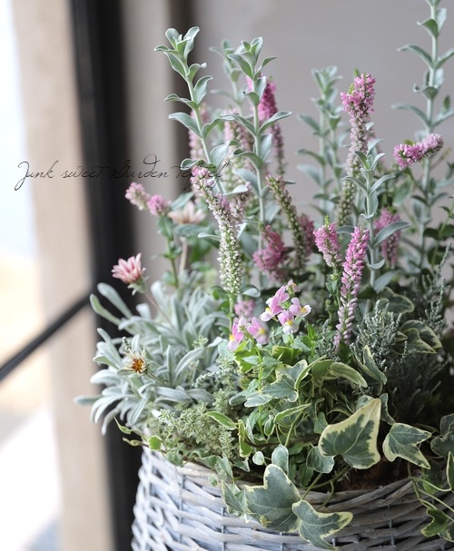 �ԥƥ����ǥ������إե����꡼�ԥ󥯡١�