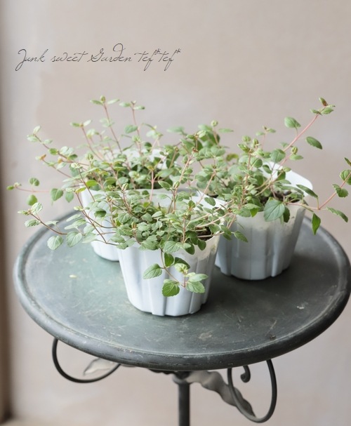 �٥��˥����ڥȥ�󥨥����إ����������ڥ꡼�֥롼��