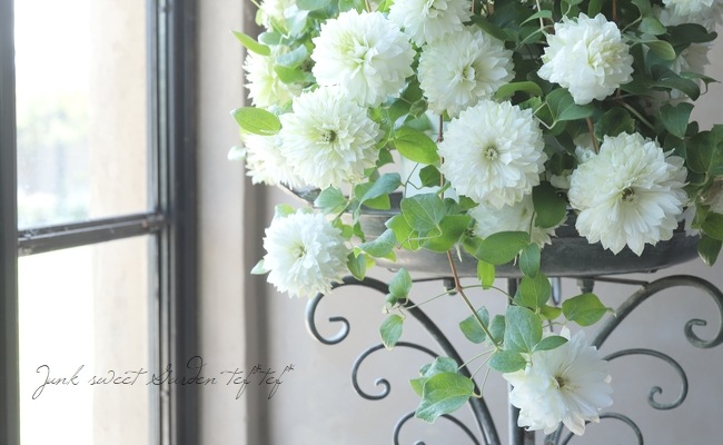 Ȭ�ź餭����ޥ������ؤ��Ϥʡ�