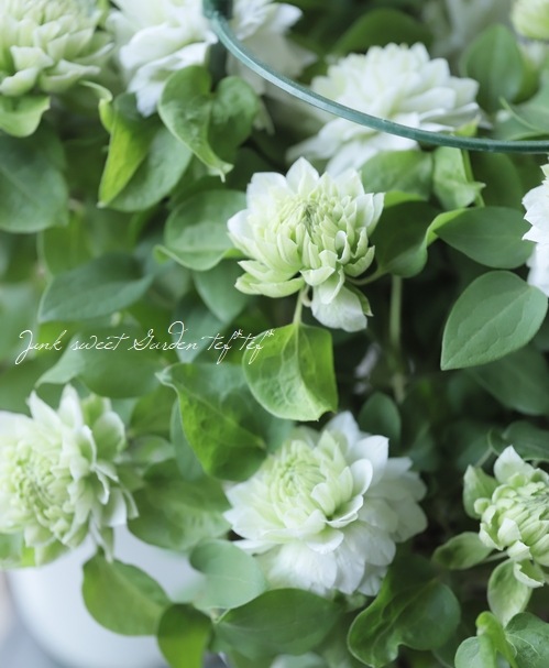 Ȭ�ź餭����ޥ������ؤ��Ϥʡ�