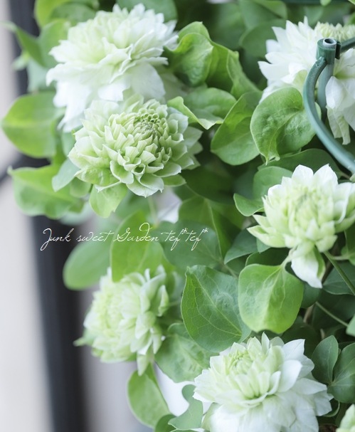 Ȭ�ź餭����ޥ������ؤ��Ϥʡ�