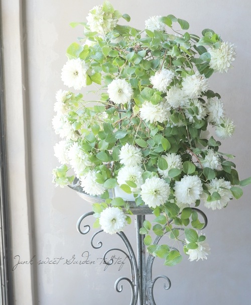 Ȭ�ź餭����ޥ������ؤ��Ϥʡ�