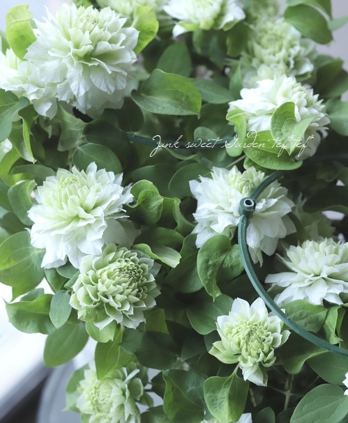 Ȭ�ź餭����ޥ������ؤ��Ϥʡ�