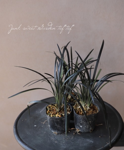 �֥�å����ɥ��饹����ε���إ�����奦��