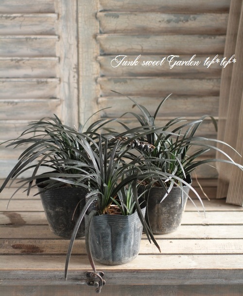 �֥�å����ɥ��饹����ε���إ�����奦��