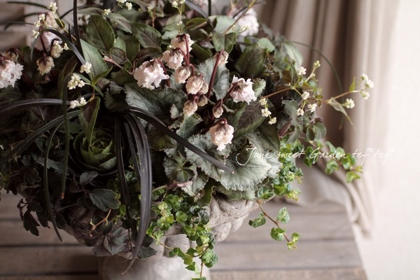 �֥�å����ɥ��饹����ε���إ�����奦��