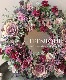 �ڴ󤻿�����-TEFNIQUE-�󤻿����꡼�� 2023 * no.23 *������ƥ��������쥬��ȥ꡼����