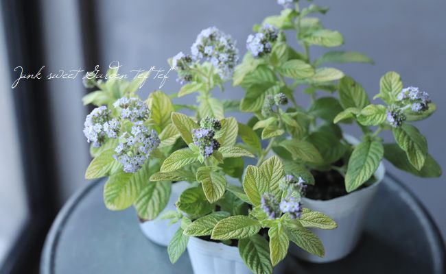 إꥪȥ إ饤 إǥ󥰥