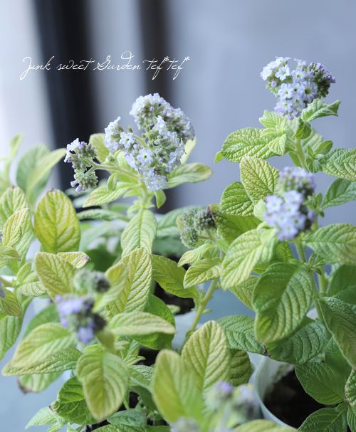 إꥪȥ إ饤 إǥ󥰥