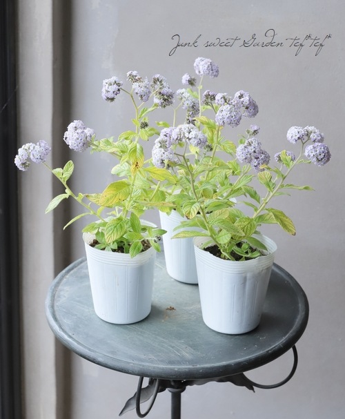 إꥪȥ إ饤 إǥ󥰥