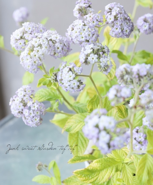 إꥪȥ إ饤 إǥ󥰥