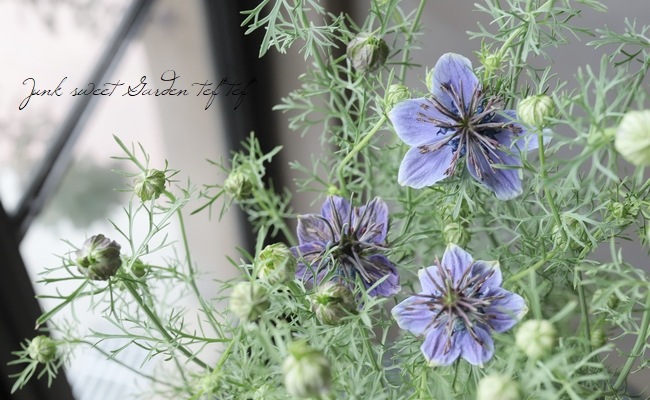 �ڹ�߷���������� �˥��顦�ѥԥ������إߥåɥʥ��ȡ�