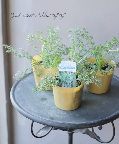 �ڹ�߷���������� �˥��顦�ѥԥ������إߥåɥʥ��ȡ�