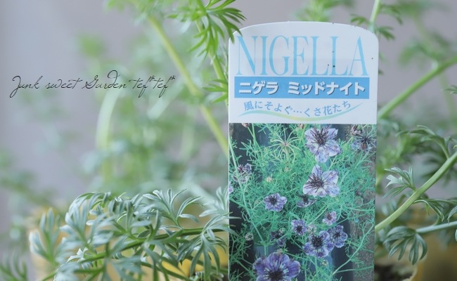 �ڹ�߷���������� �˥��顦�ѥԥ������إߥåɥʥ��ȡ�