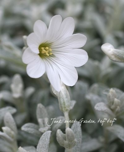 ���ե��饹���塼�� �إ���С������ڥåȡ٥��饹������