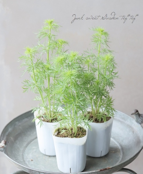 Ȭ�ź餭�顼�����ѡ����إ���ƥ�������٥������