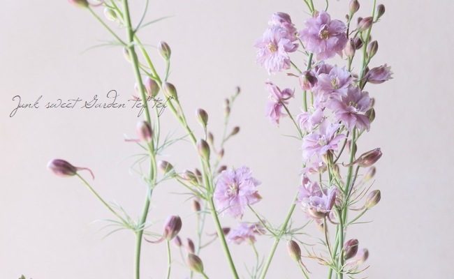 Ȭ�ź餭�顼�����ѡ����إ���ƥ�������٥������