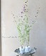 Ȭ�ź餭�顼�����ѡ����إ���ƥ�������٥������
