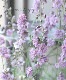 Ȭ�ź餭�顼�����ѡ����إ���ƥ�������٥������