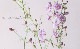 Ȭ�ź餭�顼�����ѡ����إ���ƥ�������٥������