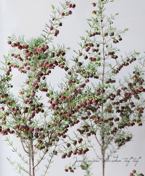 �ܥ��˥����ᥬ���ƥ����ޡ��إ����ɥ�����