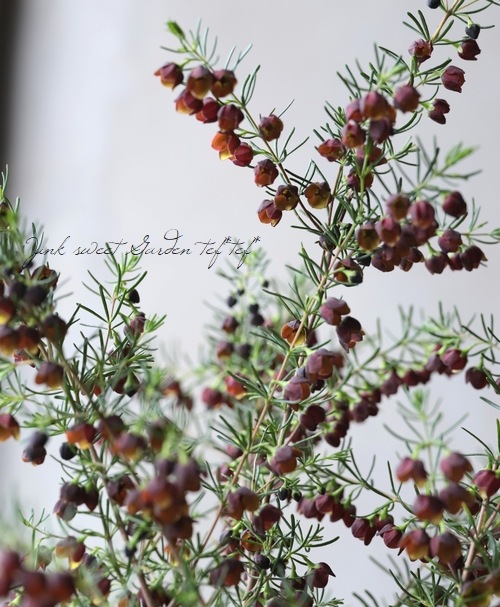 �ܥ��˥����ᥬ���ƥ����ޡ��إ����ɥ�����