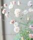 ��LUXURY SELECTION��tef*tef*���ꥸ�ʥ롪�ڹ��������ס�Ȭ�ź餭�����ޥ����إ��饷���륻�ԥ� �١ں餭�ʤߡ��ָ����20��off��