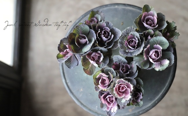 ������ƥ������ղ�ð����˨�֥��å����١����ե���