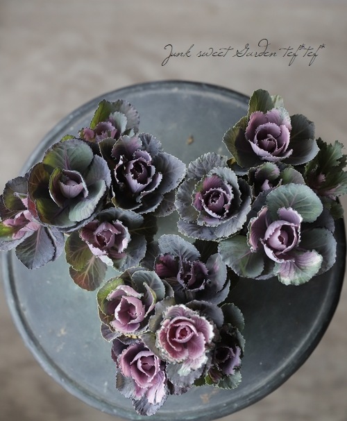 ������ƥ������ղ�ð����˨�֥��å����١����ե���