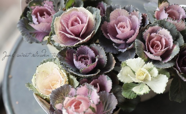 ������ƥ������ղ�ð����˨�֥��å����١����ե���