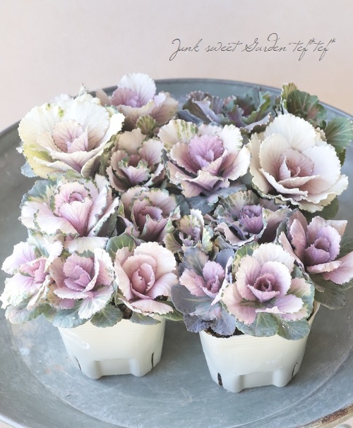 ������ƥ������ղ�ð����˨�֥��å����١����ե���