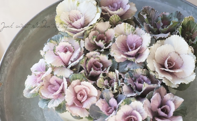 ������ƥ������ղ�ð����˨�֥��å����١����ե���