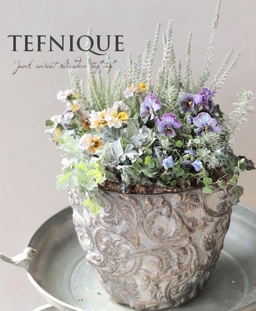 寄せ植え　lavender様　ご注文品 寄せ植え】-TEFNIQUE-寄せ植え 2025 * no.12 * 『大人可愛い冬景色の