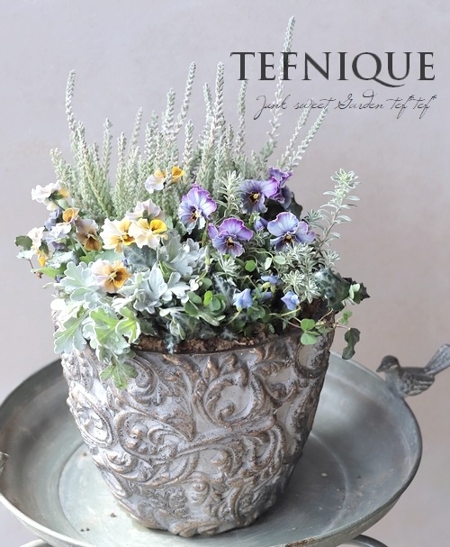 寄せ植え】-TEFNIQUE-寄せ植え 2025 * no.12 * 『大人可愛い冬景色の