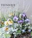 �ڴ󤻿�����-TEFNIQUE-�󤻿��� 2025 * no.12 *������Ͳİ����߷ʿ������� Ver.2��
