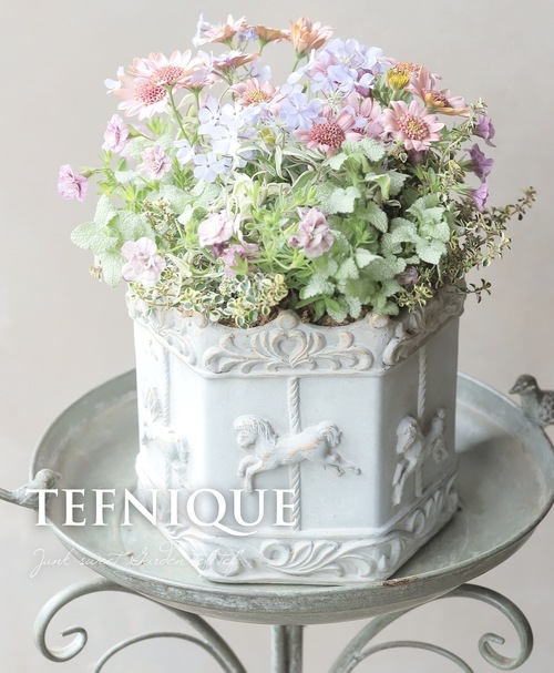 �ڻ��ߡۥ��롼���롡�إ�������L-LB