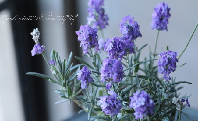 1_000000013263.jpg?1678209903