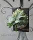 �ڴ��տ�ʪ��Ķ�����ץ�ƥ����ꥦ�ࡦ������󥭡��إХ��ƥꥢ�٥��������TC�����դ��ӥ������� ���������
