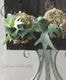 �ڴ��տ�ʪ��Ķ�����ץ�ƥ����ꥦ�ࡦ������󥭡��إХ��ƥꥢ�٥��������TC�����դ��ӥ������� ���������