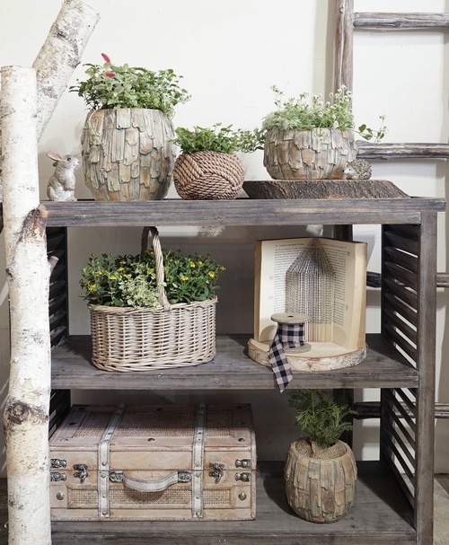 �ڻ��ߡ� ���塼�ȥܡ���S ��S��������