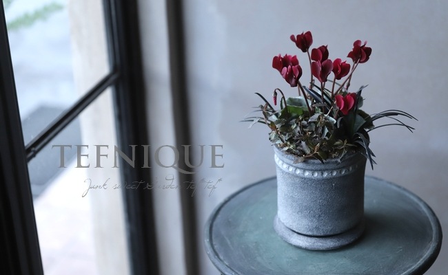 ڴ󤻿 -TEFNIQUE-󤻿 2021 * no.13 *ͥåɤʴ󤻿