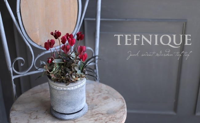 寄せ植え】 -TEFNIQUE-寄せ植え 2021 * no.13 * 大人レッドな