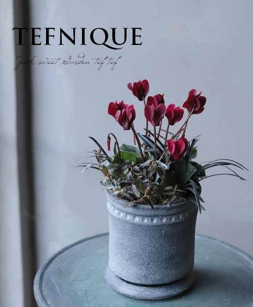 ڴ󤻿 -TEFNIQUE-󤻿 2021 * no.13 *ͥåɤʴ󤻿