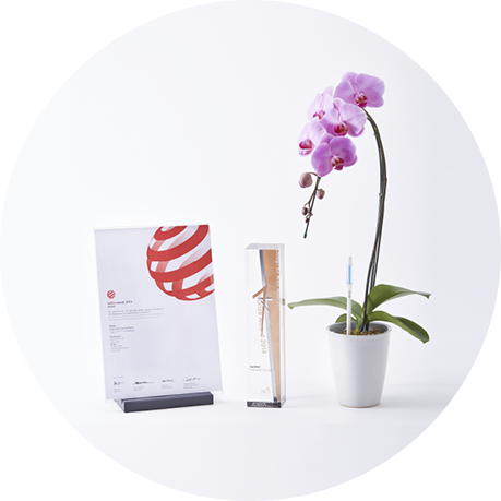 tef*tef*�����åհ����ʡ���SUSTEE�� ��������å��� �����ƥ��� L������ 6��12��ȭ��  �ڲ��Ĥ�Ʊ���ġ�