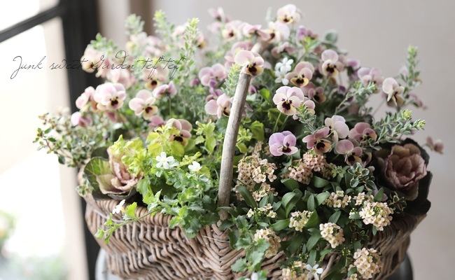 tef*tef*�󤻿��� 2018 * no.37 *����⥳����Τդ���Х����å�