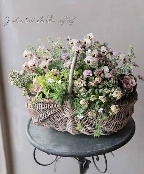 tef*tef*�󤻿��� 2018 * no.37 *����⥳����Τդ���Х����å�