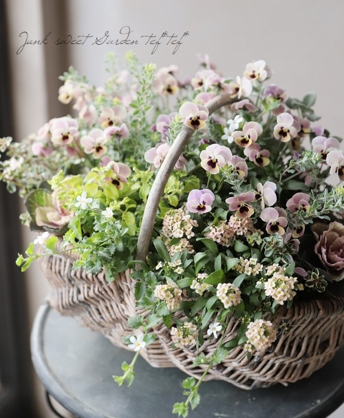 tef*tef*�󤻿��� 2018 * no.37 *����⥳����Τդ���Х����å�