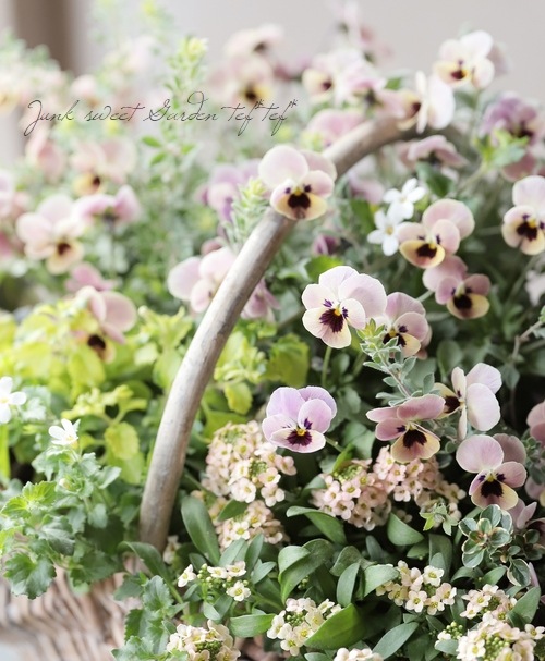 tef*tef*�󤻿��� 2018 * no.37 *����⥳����Τդ���Х����å�