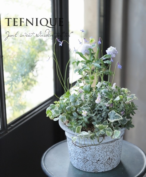 -TEFNIQUE-�󤻿��� 2019 * no.50 *���ع�����Ƥ֥֥롼�ӡ��˲񤨤뤫�ʡ�
