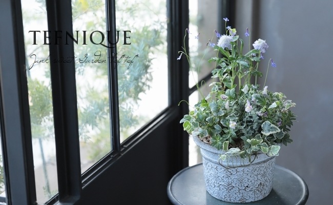 -TEFNIQUE-�󤻿��� 2019 * no.50 *���ع�����Ƥ֥֥롼�ӡ��˲񤨤뤫�ʡ�